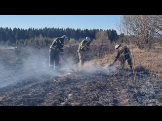 🔥 Начался сезон ландшафтных пожаров. [club77410749|МЧС России по Пермскому краю] напоминает:
Не сжигай сухую..