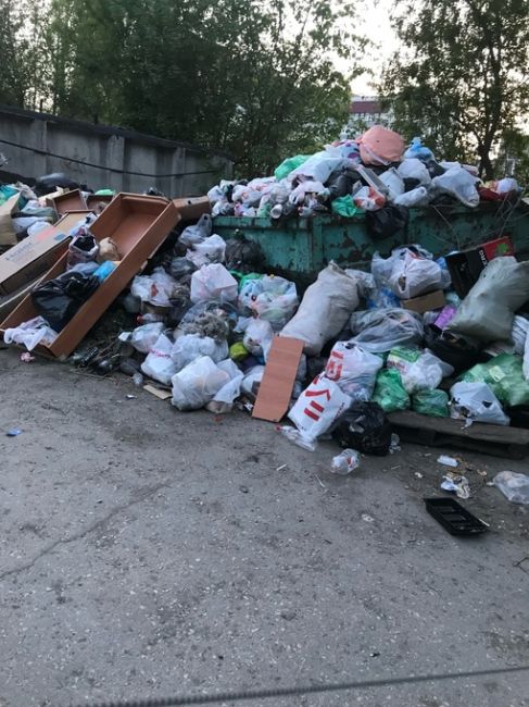 "Это днище": жители Самары жалуются на горы мусора во дворах 

Регоператор по обращению с ТКО решил отдохнуть..