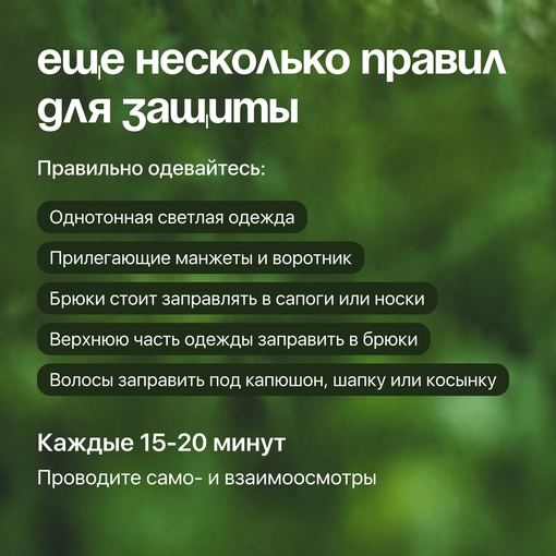 Как защититься от клещей? Напомнить себе и близким никогда не поздно.

Эти маленькие членистоногие могут..