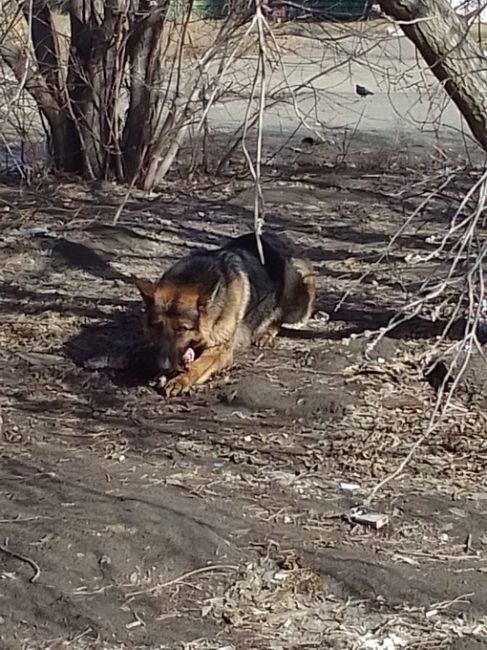 Опубликуйте пожалуйста!! Чей пацан???..