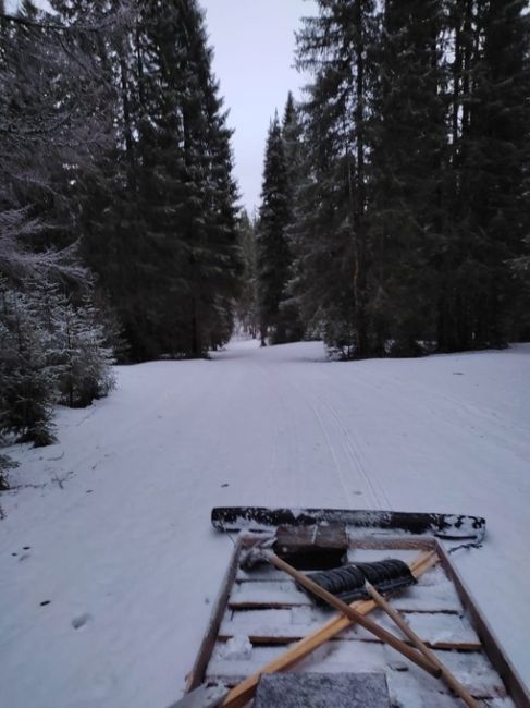 В Александровске еще зима, там можно покататься даже на..