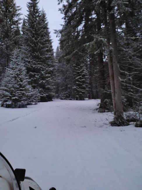 В Александровске еще зима, там можно покататься даже на..