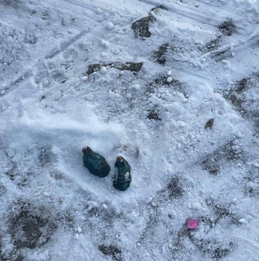 В Бабушкин парк вернули ангела, которого зимой сломали..