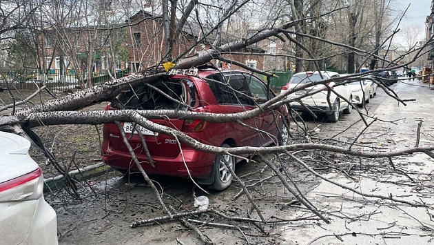 Неприятный для автовладельцев инцидент произошел по адресу улица Ватутина, 25

В Ленинском районе..