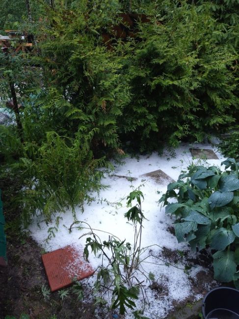 ⛄️Весенние снеговики начали появляться в Питере 

Страшно представить, что будет..