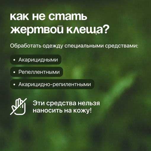 Как защититься от клещей? Напомнить себе и близким никогда не поздно.

Эти маленькие членистоногие могут..