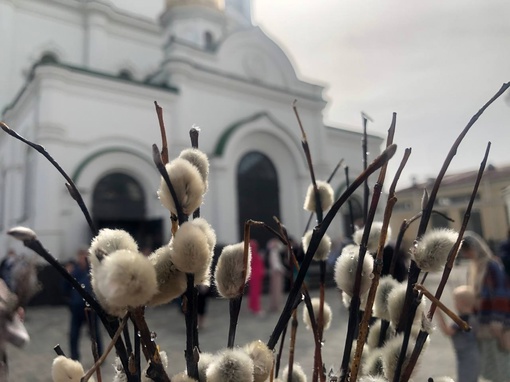 С Вербным Воскресеньем! 

В храмах Ростова святят вербы. Приняты меры безопасности. При входе на территорию..