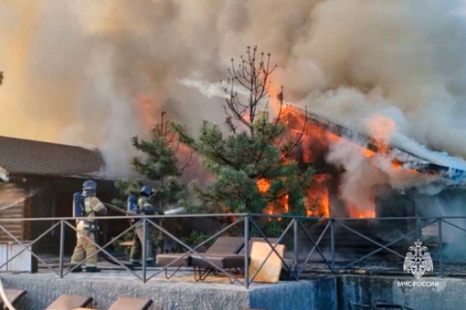 🔥201 пожар произошел на Дону на прошлой неделе.

Пожарно-спасательные подразделения спасли 17 человек, четыре..
