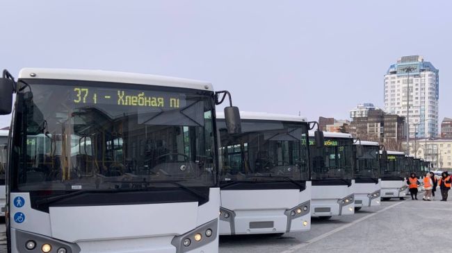 В Самаре 10 апреля вышли на маршрут 20 новых автобусов 

На каких маршрутах их можно увидеть

В среду, 10 апреля,..