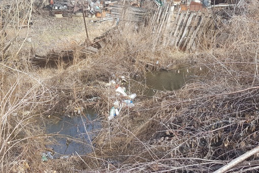 Администрация, экологи, прокуратура,МЧС, обратите внимание🤬
СНТ Маяк-2, мусорный контейнер переполнен,..