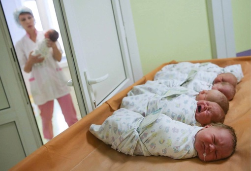 С начала года в Краснодарском крае родились более 12,7 тысяч детей

Из них, по данным краевого минздрава, 151..