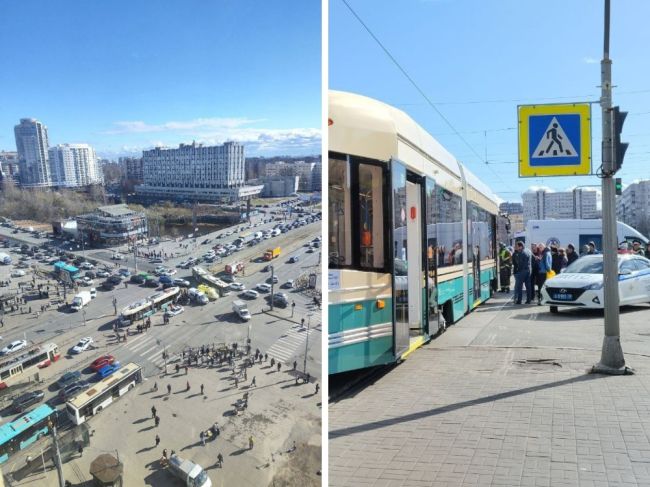 Новый трамвай сбил пешеходов на «Приморской»

Инцидент произошёл на пешеходном переходе на перекрёстке..