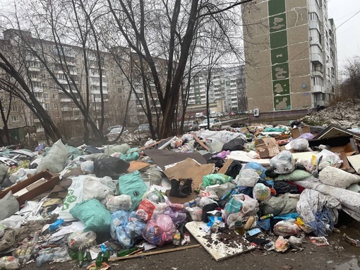 На Вижайской, 20 все обсыпано мусором..