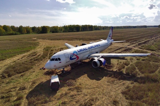 Самолёт «Уральских авиалиний», севший в поле под Новосибирском, не вернут к полётам

Авиакомпания..