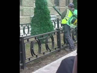 В Перми решили проблему с зелеными елками! Их решили покрасить..