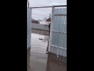 💰 Пострадавшим от наводнения будут платить

Людям, которых затронул паводок в области, начали выплачивать..