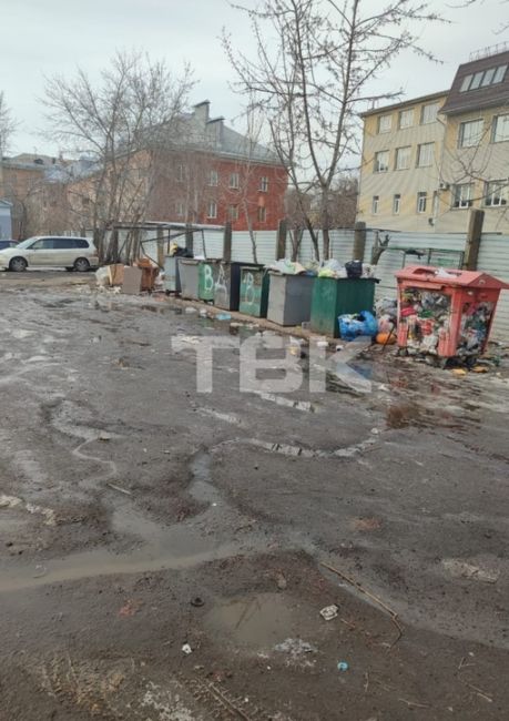 Крысы обживаются не только на помойке, но и в машинах

«Ул. Московская, 5 и 5а. Крик о помощи! Уже не первый год..