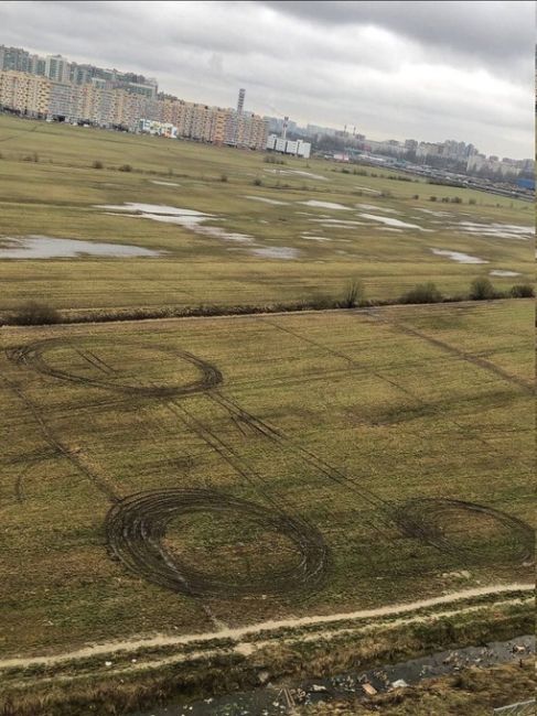 👀Тем временем на муринских полях заметили..