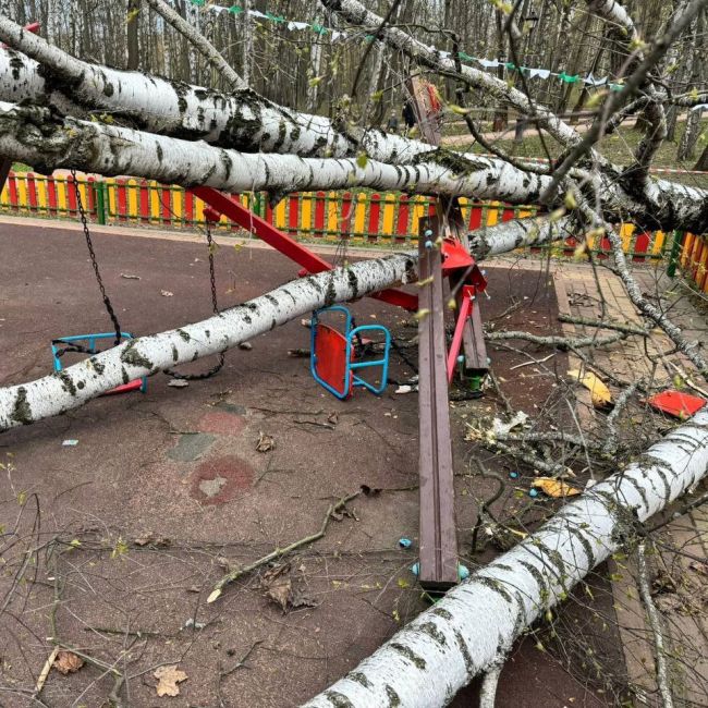 В столичном регионе уже который день подряд ветер колышет арматуру. Сегодня появилась первая жертва..