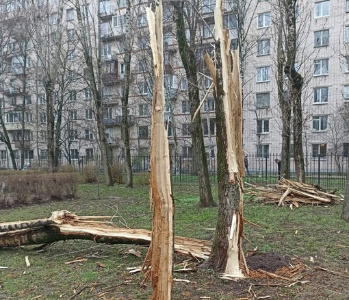 ⛈ В Московском районе молния попала в территорию детского сада..