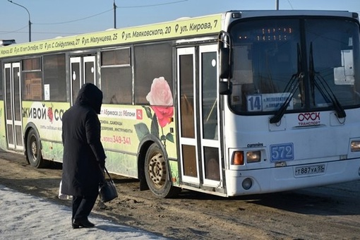 В Омске не хватает более 200 водителей автобусов

Сейчас общее количество работающих водителей автобусов..