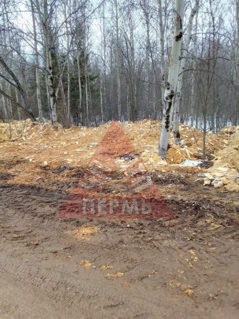 От подписчиков 

ООО Горизонталь, которая находится по адресу Трубная, 6 в г. Краснокамск устроили свалку..