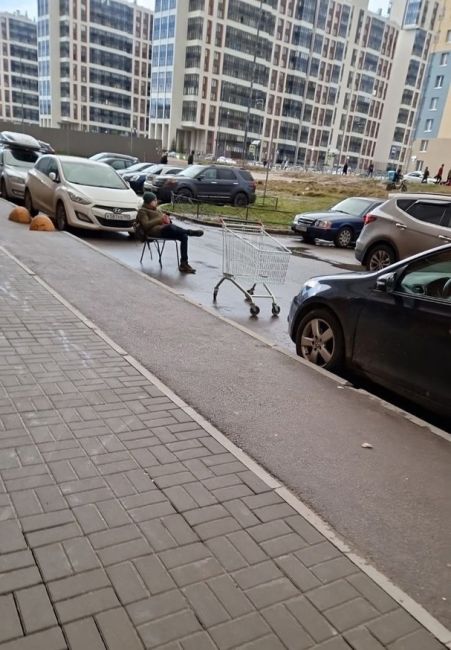 В новостройках Приморского района кто-то обзавёлся личным охранником парковочного места. На что только не..