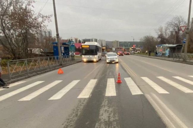 Родители простили водителя за сбитого школьника на Первомайке

В Новосибирске суд прекратил уголовное дело..