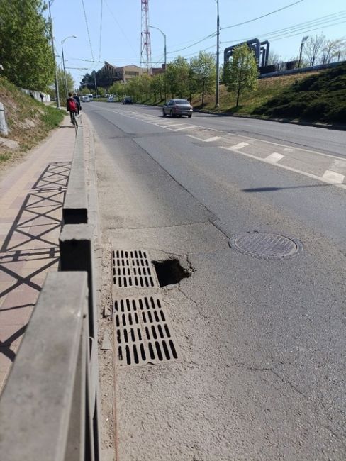 Под мостом на Ставропольской выросла довольно большая..