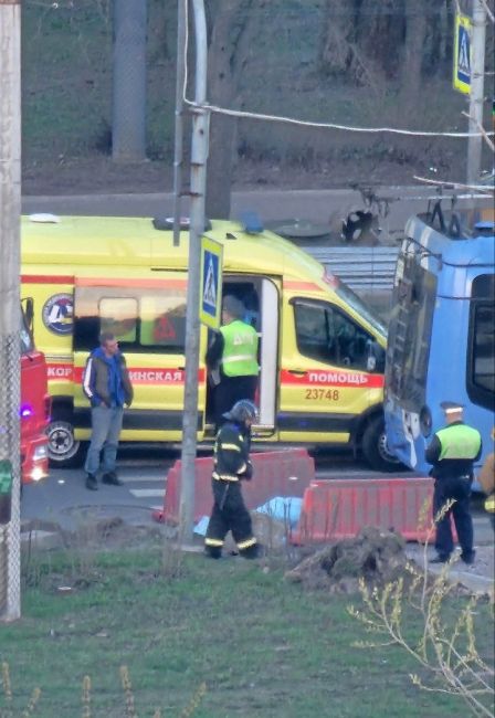 В Петербурге пешеход погиб, упав под троллейбус

Трагедия произошла воскресным вечером возле дома №21 корпус..