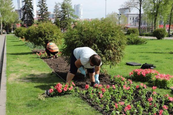 На улицах Самары появятся цветы, которых раньше в городе не было 

Один из скверов на площади Куйбышева..