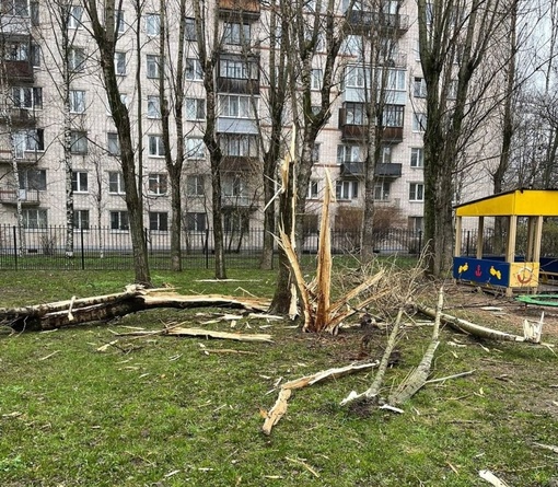 ⛈ В Московском районе молния попала в территорию детского сада..