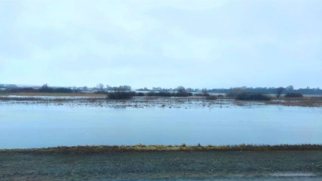 Пестравка под водой: паводок в Самарской области поглощает новые территории 

Хроника половодья-2024

Паводок..