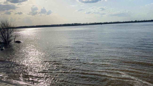 В Самаре по данным МЧС повышается уровень воды 

Все, что известно о паводке к 22 апреля

ГУ МЧС по Самарской..