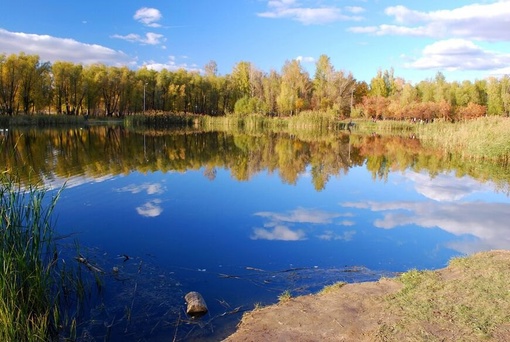 Парк 30 летия ВЛКСМ до вырубки деревьев у озера.
Прекрасный оазис в Омске среди городской среды, пыли и..