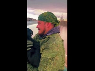 Трогательное видео из Оренбурга, где бушует наводнение. Спасатели вытащили из затопленного дома собаку,..