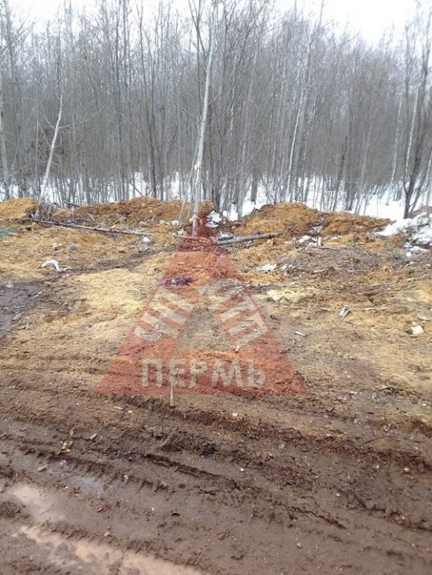 От подписчиков 

ООО Горизонталь, которая находится по адресу Трубная, 6 в г. Краснокамск устроили свалку..