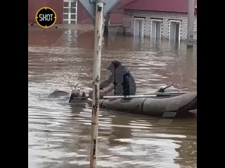 Жители Орска собрались на центральной площади города, они скандируют: "Путин, помоги!" и выражают..