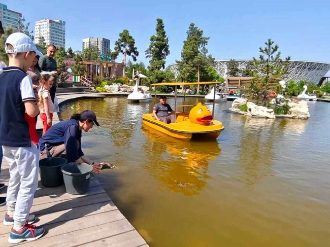 Ура, милашки-черепашки снова с нами 🐢🐢

В ЦПКиО в водоём под открытым небом выпустили несколько десятков..