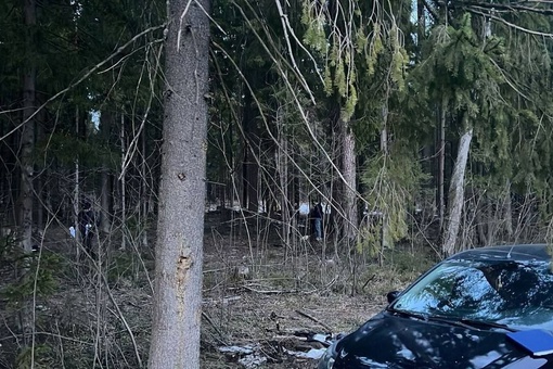 В Подмосковье убит полицейский во время задержания наркоторговца, ещё двое получили ранения. В области..