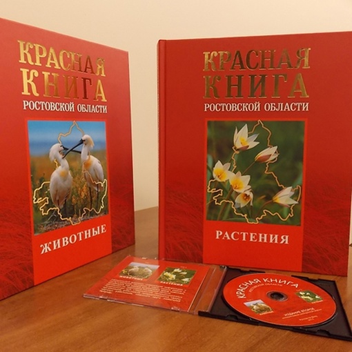 52 новых вида появится в Красной книге Ростовской области 🌿🦅

Обновленная книга выйдет к концу 2024 года. Это..