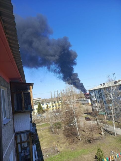 Крупный пожар в Омске локализован

Локализацию зафиксировали в 13:25, сообщили в МЧС.

Площадь пожара составила..