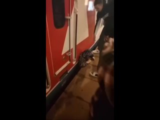 Пьяный мужик шёл после смены на заводе по железнодорожным путям в Москве, не услышав приближение электрички..