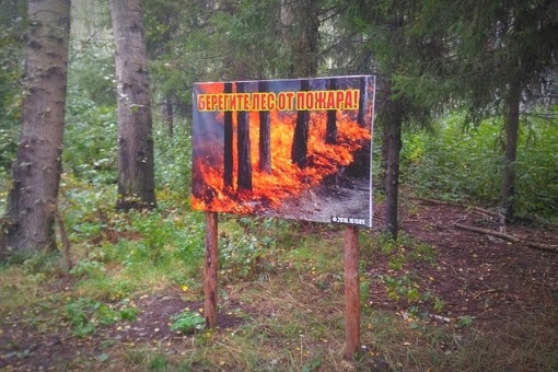 Участники патрульных групп в Свердловской области с начала мая выявили 141 нарушение особого..