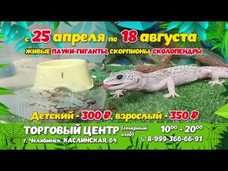 Erid: 2VtzqvbCzfH 
 
[club178925583|Живые пауки-гиганты г. Челябинск]

Крутая идея, куда сходить на выходные в Челябинске:..