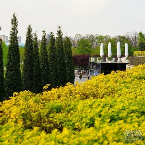 🌺 Май в парке..