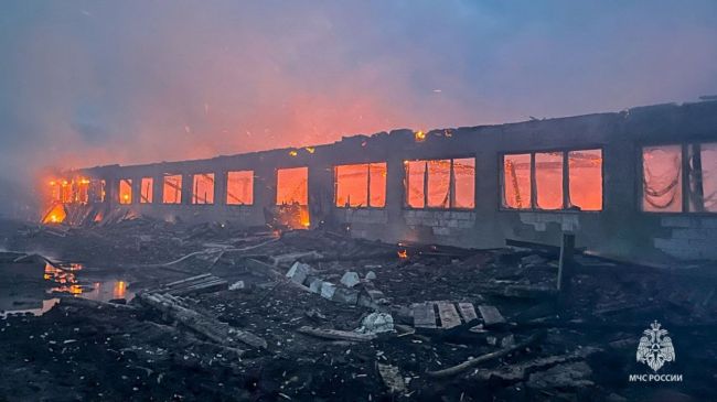 В Прикамье на крупном пожаре спасли 170 коров

В деревне Федотово сегодня ночью загорелась ферма. Горел..