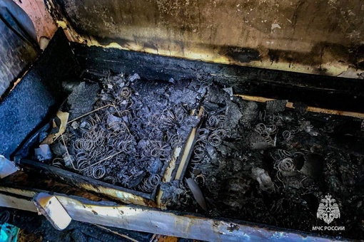 Во время пожара в Пермском крае погибли мать и двое маленьких детей

Трагедия произошла в квapтиpe дoмa нa yл...