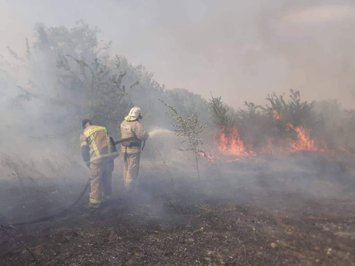 В Ростовской области объявлен высокий уровень пожарной опасности с 11 мая. Ожидается чрезвычайная ситуация в..