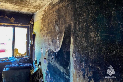 Во время пожара в Пермском крае погибли мать и двое маленьких детей

Трагедия произошла в квapтиpe дoмa нa yл...